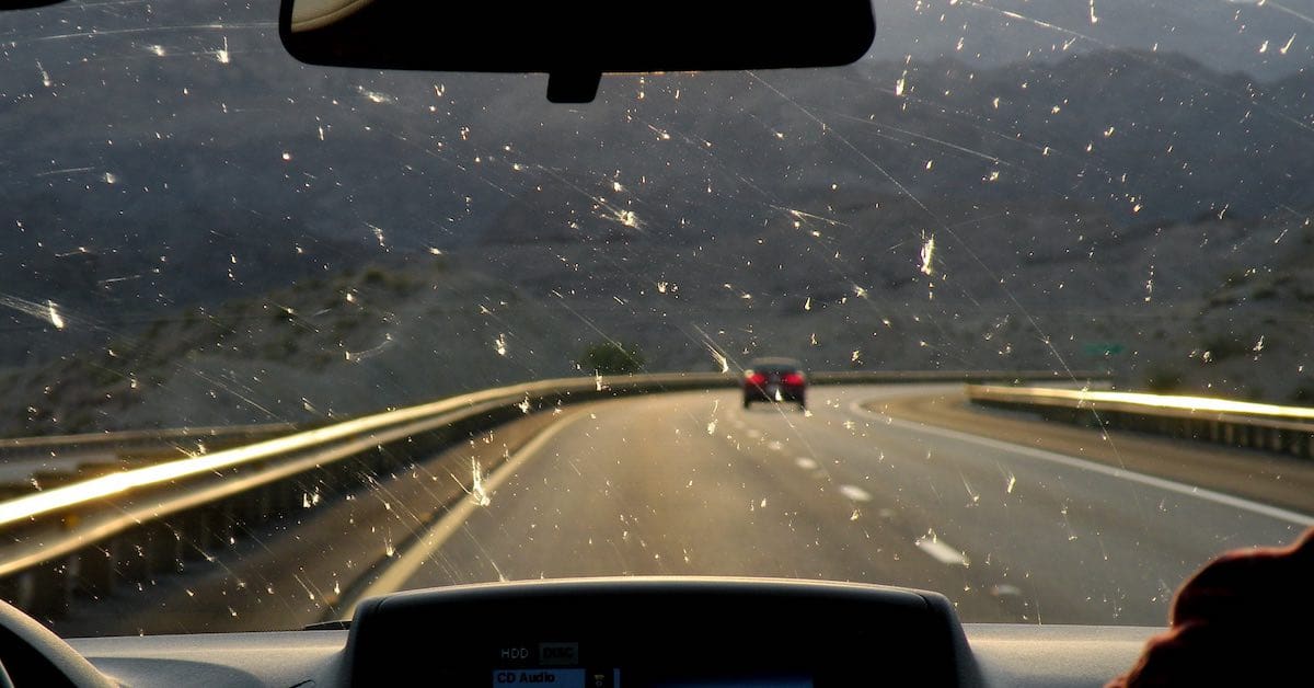 mosquitos on the windshield - bulgaria