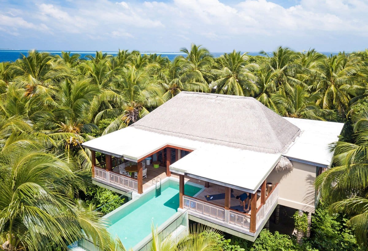 treetop villa in the jungle of the maldives