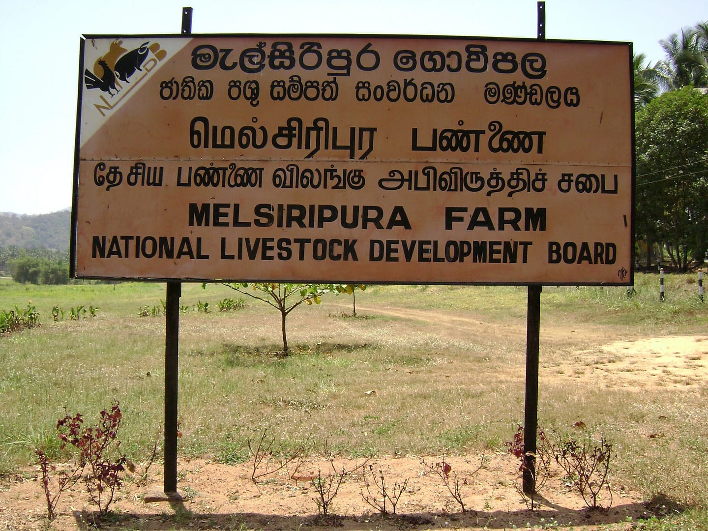 trilingual sign in sri lanka