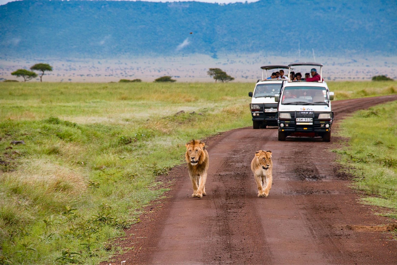 safari in east africa - the best parks (in our opinion)