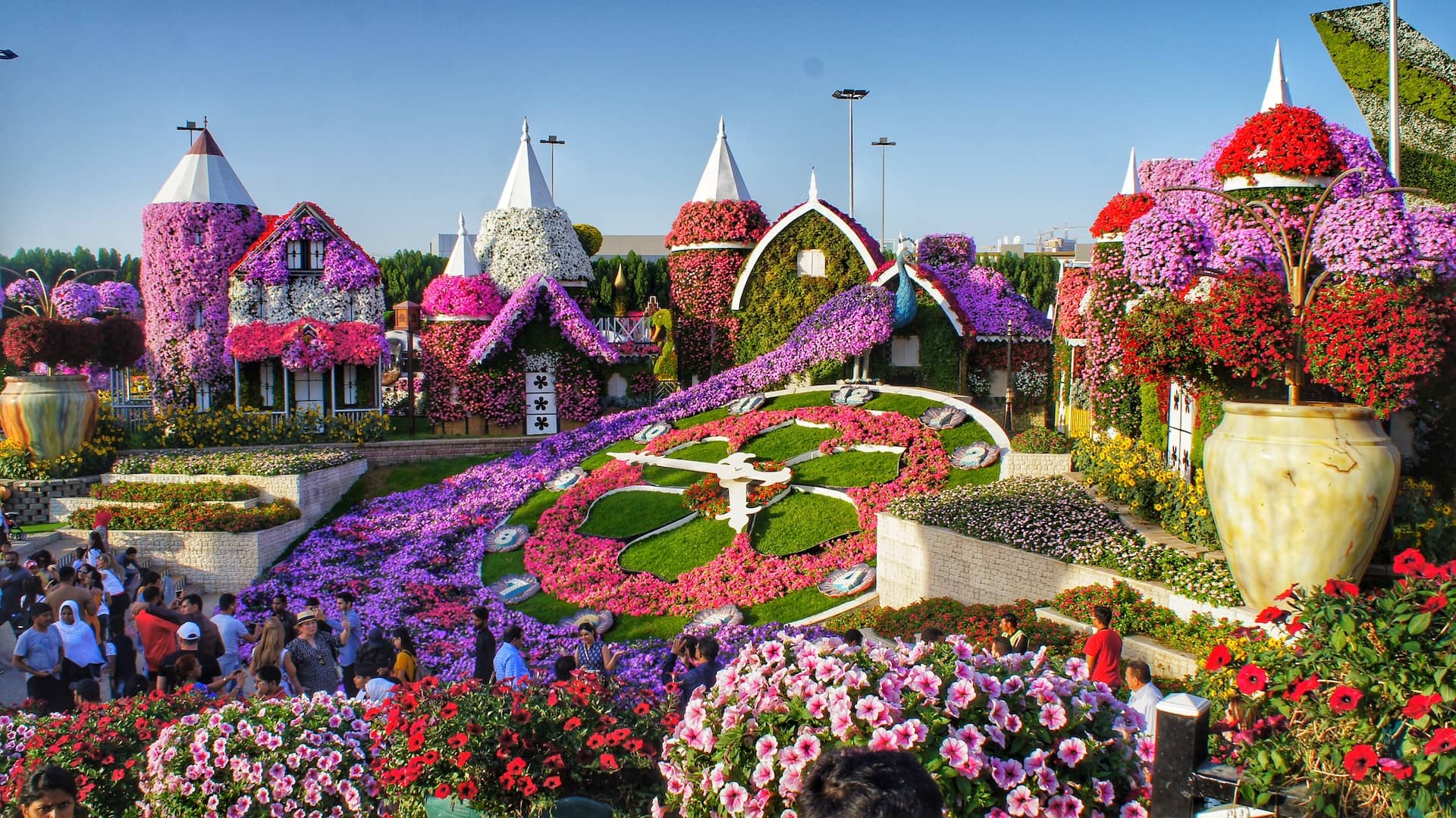 the largest flower garden in the world is in Dubai